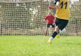 双色球,独家攻略,智能定蓝球,中国体彩,中国体彩网,中国体彩网官方首页