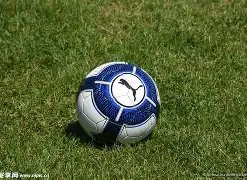 双色球秘籍,期精准杀号,三蓝,中国体彩,中国体彩网,中国体彩网官方首页