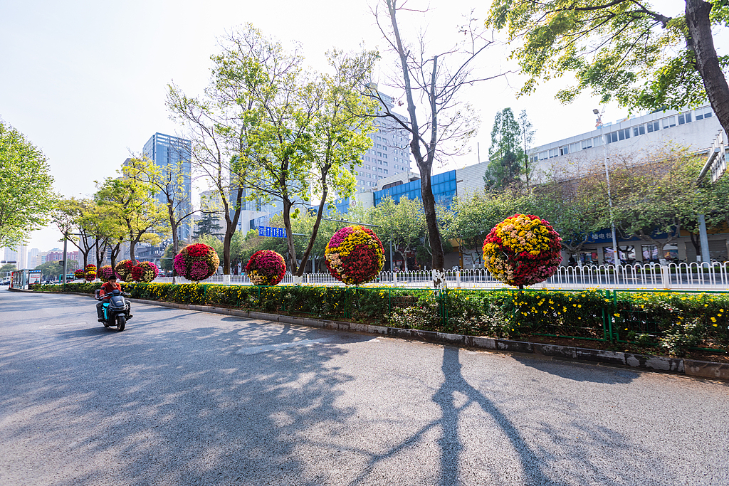 双色球,期专家一码,定蓝,中国体彩,中国体彩网,中国体彩网官方首页