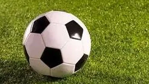 中国体彩网 资讯 110231 hlk