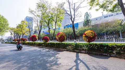 双色球2026022期专家一码定蓝：06期推荐