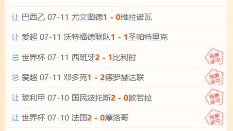 紧急行动指南：全力搜寻失踪者，刻不容缓